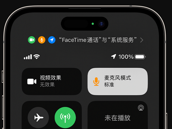 英山苹果授权维修网点分享iPhone在通话时让你的声音更清晰 