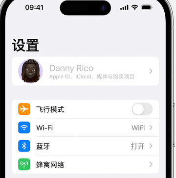 英山appleID维修服务iPhone设置中Apple ID显示为灰色无法使用 