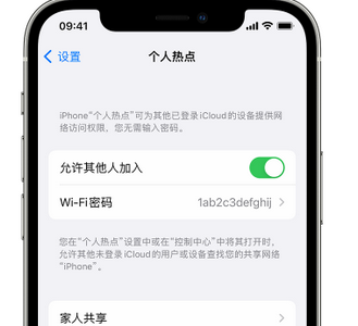 英山apple服务站点分享iPhone上个人热点丢失了怎么办 