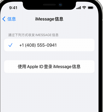 英山apple维修iPhone上无法正常发送iMessage信息 