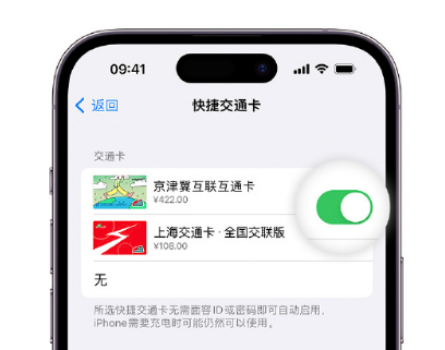 英山apple维修点分享iPhone上更换Apple Pay快捷交通卡手绘卡面 