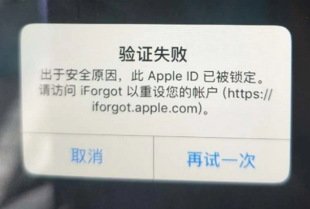 英山iPhone维修分享iPhone上正常登录或使用AppleID怎么办 