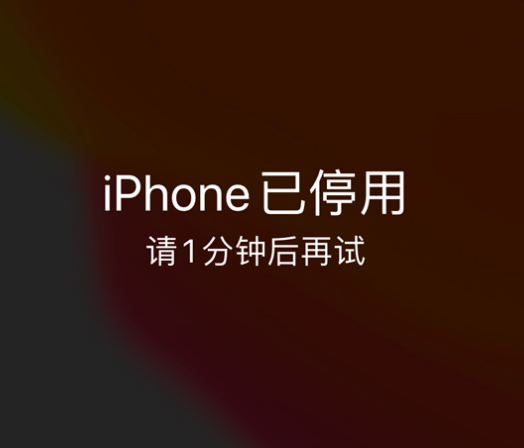 英山苹果手机维修分享:iPhone 显示“不可用”或“已停用”怎么办？还能保留数据吗？ 