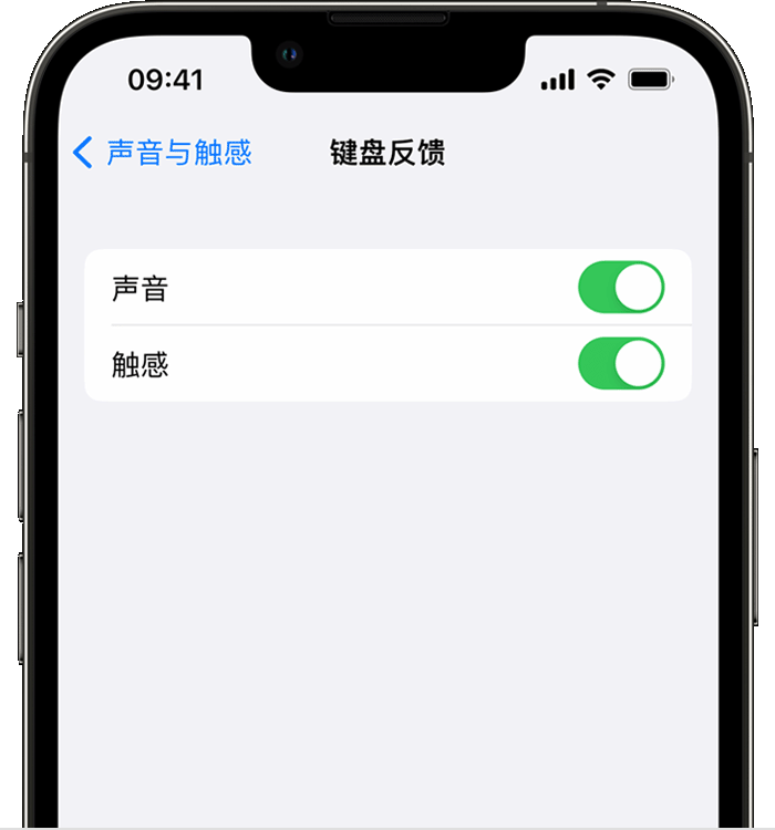 英山苹果14维修店分享如何在 iPhone 14 机型中使用触感键盘 