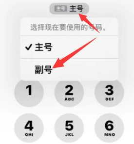 英山苹果14维修店分享iPhone 14 Pro Max使用副卡打电话的方法 