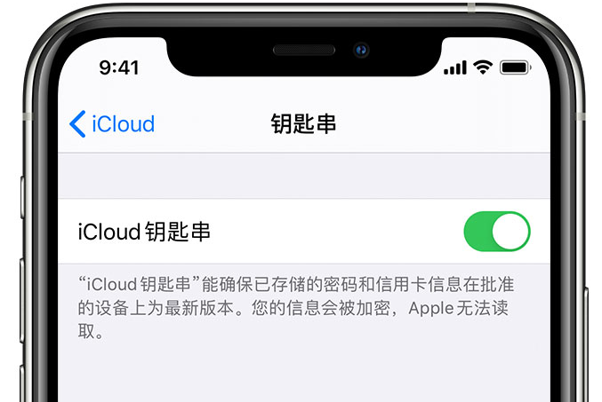 英山苹果手机维修分享在 iPhone 上开启 iCloud 钥匙串之后会储存哪些信息 