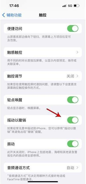 英山苹果手机维修分享iPhone手机如何设置摇一摇删除文字 