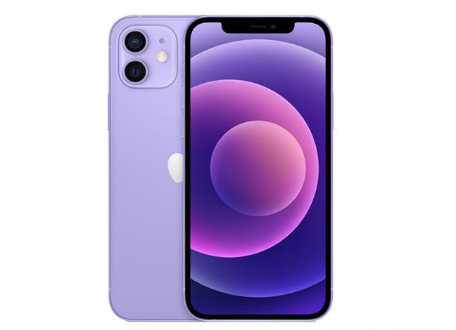 英山苹果手机维修分享现阶段要不要入手紫色版iPhone12 